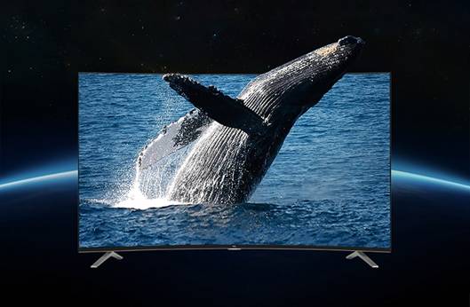 里约收官钜惠升级,TCL曲面电视庆贺健儿载誉