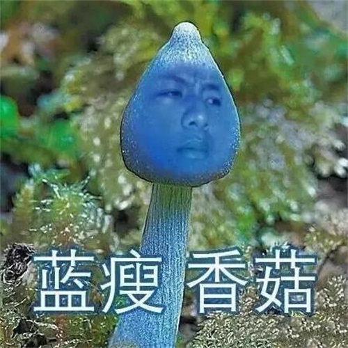 蓝瘦香菇表情包走红 颖儿急性肠胃炎住院称蓝瘦香菇