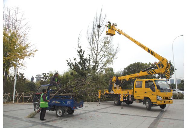 随州市绿化管理处工作人员对绿化树木进行修剪作业