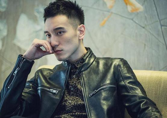 林志穎賈乃亮林俊杰吳尊林峰 盤點娛樂圈的繼承者們