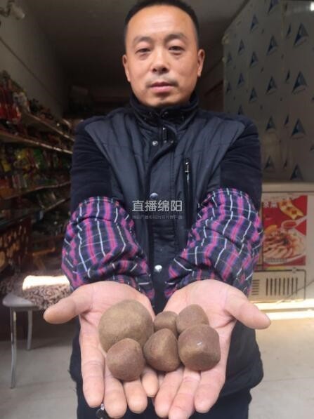母羊取出6顆羊?qū)?網(wǎng)傳價(jià)值600多萬(wàn) 羊?qū)毷鞘裁礀|西 