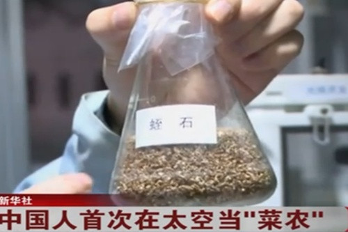 中國人首次在太空當菜農 太空種的菜能吃嗎？