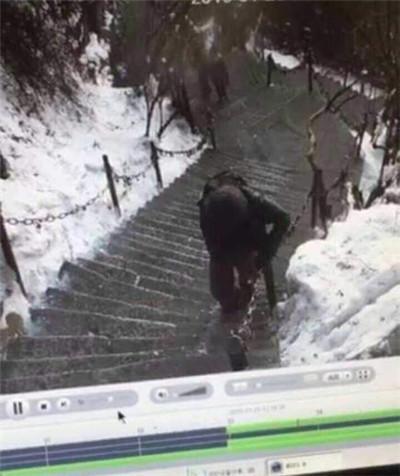 游華山失聯6天 大學生獨游不見蹤影牽動人心