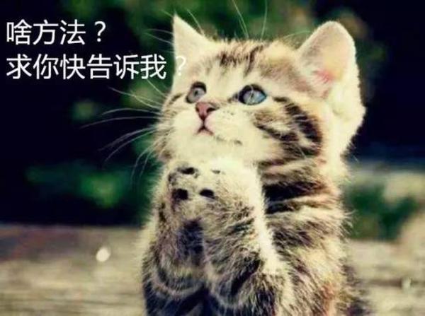 假如“傻根”王宝强设立了家族信托