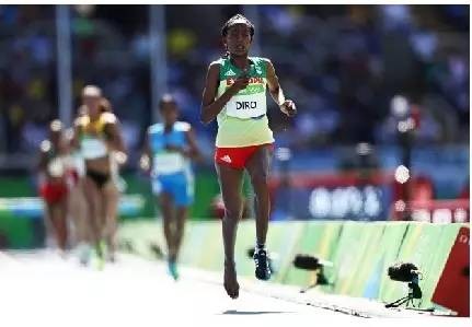 里约奥运会让你知道了什么是奥林匹克精神 感动了无数人