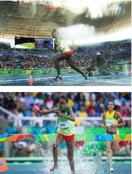 里约奥运会让你知道了什么是奥林匹克精神 感动了无数人