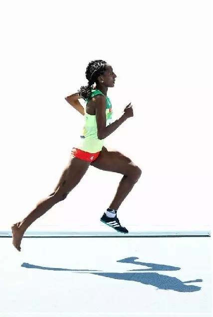 里约奥运会让你知道了什么是奥林匹克精神 感动了无数人