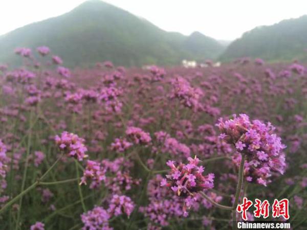 浙江云和深耕山水资源掘金“美丽经济”