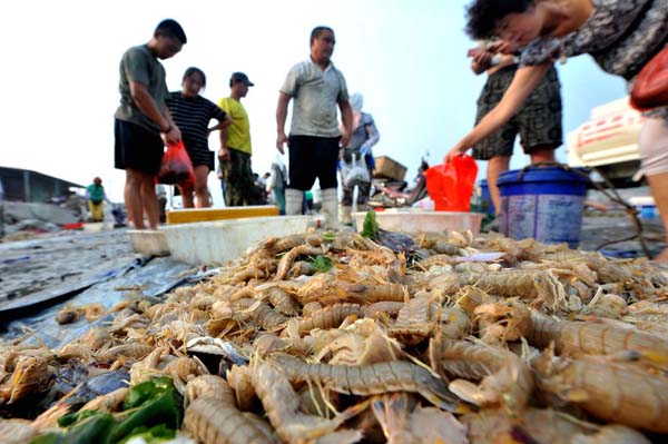 青岛对虾论只卖消息曝光后  引起不少网友关注