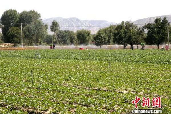 青海局地试点农业水价综合改革防止喝“大锅水”效益显现