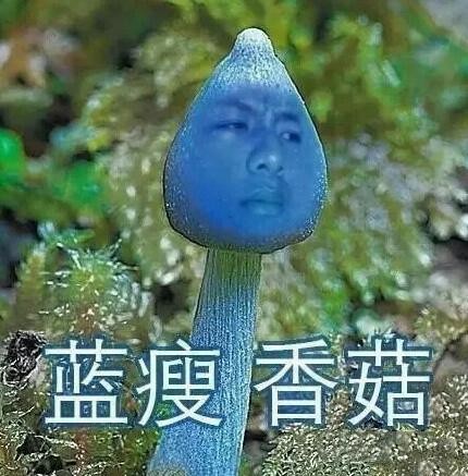 藍(lán)瘦香菇被搶注:你還在笑 有人已搶注開(kāi)公司!