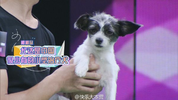 快樂大本營20161015期嘉賓有誰 最新一期快本播出時間為什么延后