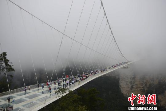 外媒记者冒雨参观张家界大峡谷玻璃桥。　杨华峰 摄