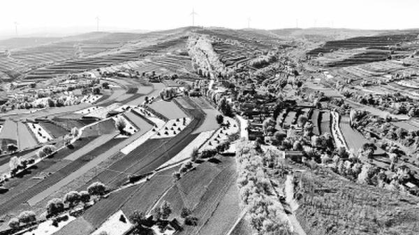 甘肃华家岭：壮士埋骨地 苍黄变青葱