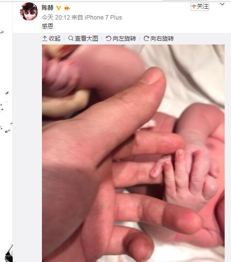 陳赫離婚真正原因 難道是陳赫前妻許婧生了孩子?