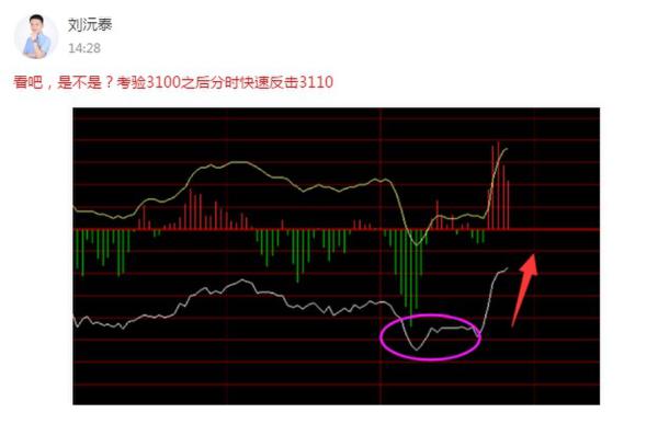 4只牛股今日竟被一人捕获 其中一只三连板