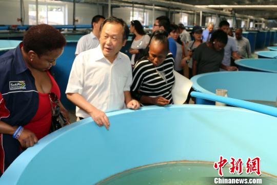 中国专家带领中南人士参观中国—南非农业技术示范中心的育苗车间。　宋方灿 摄