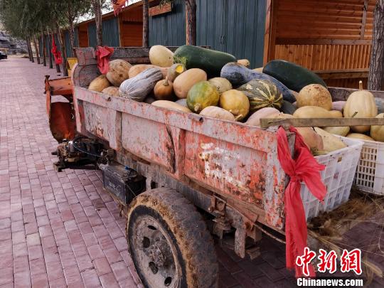 6年过去了，这片地方有了南瓜地，建起了农家乐餐厅、还有牧场，薰衣草园，还有了多种游乐项目和欧式观景小木屋。　邱江波 摄