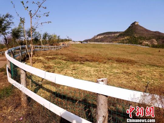 一般农民发展乡村旅游多是办个农家乐，养一窝土鸡，来一园蔬菜，最多就连吃饭带住宿，可山东沂源农民王永宝觉得应该搞个牧场，因为这里的高山和草地，好像就差一个牧场了。　邱江波 摄