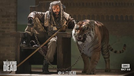行尸走肉第七季第三集預告視頻 行尸走肉第七季03集在哪看