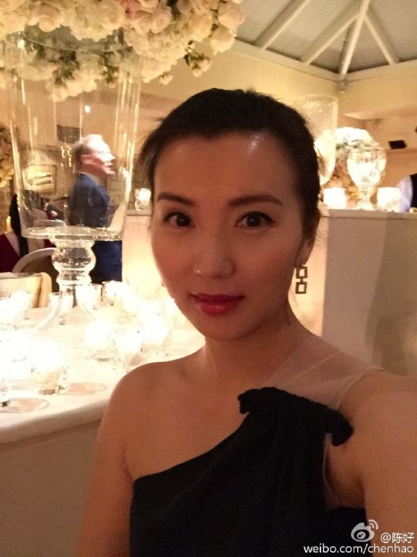 陳好罕見曬自拍 陳好老公是誰劉海峰家庭背景揭秘