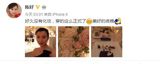陳好罕見曬自拍 陳好老公是誰劉海峰家庭背景揭秘