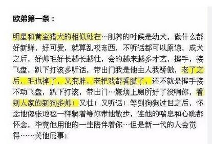 大張偉汪涵越來越默契！為什么大家不愿意看到歐弟汪涵組合了呢
