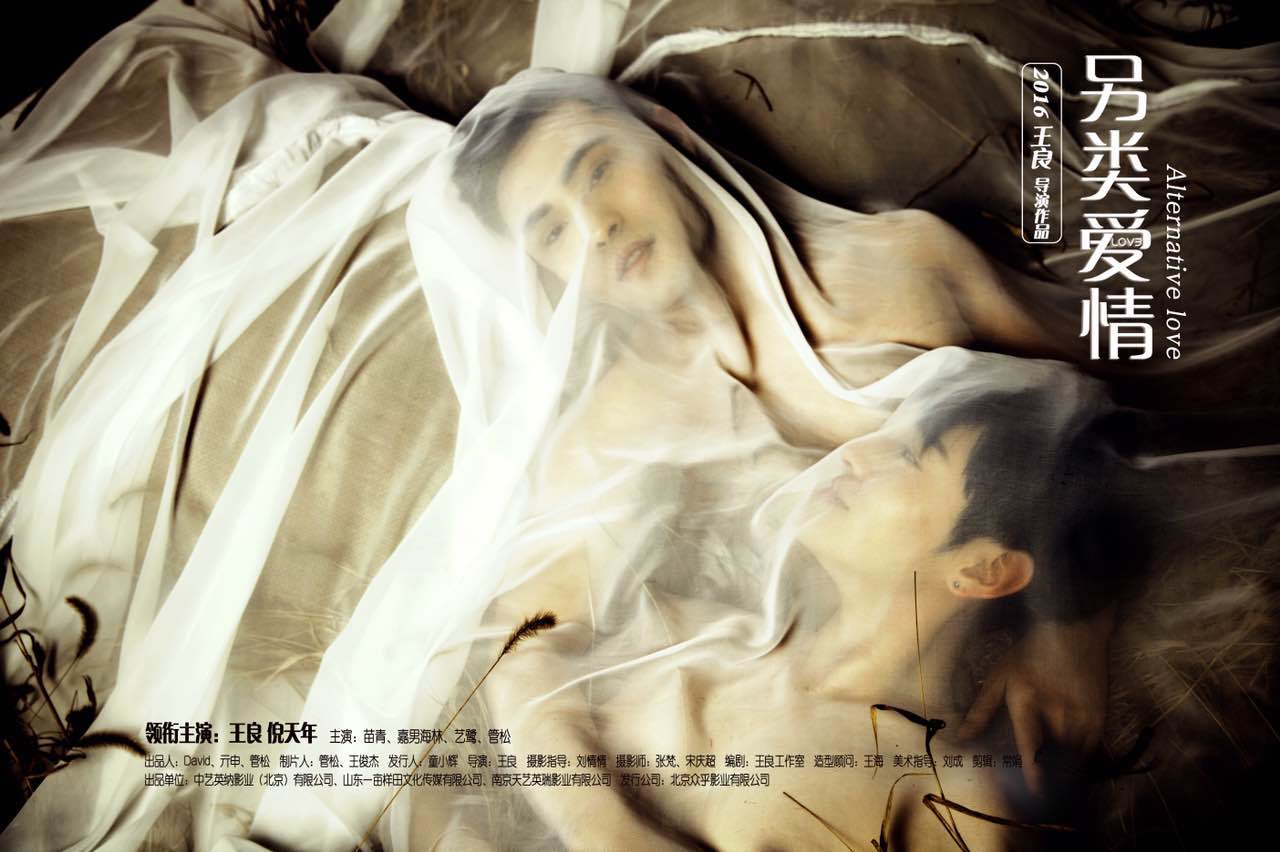 網劇另類愛情2分集劇情介紹1-20集大結局 另類愛情2獨一無二演員表介紹