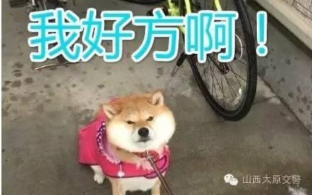 1016000e4c2970e000c9.jpg
