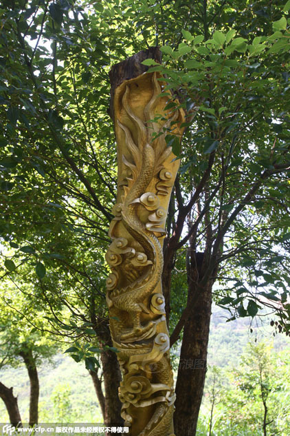 宁波现活体树雕有人赞同有人批 老板说有人说这是残忍的艺术