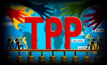 日美外长达成共识 将继续努力推动TPP早日生效 