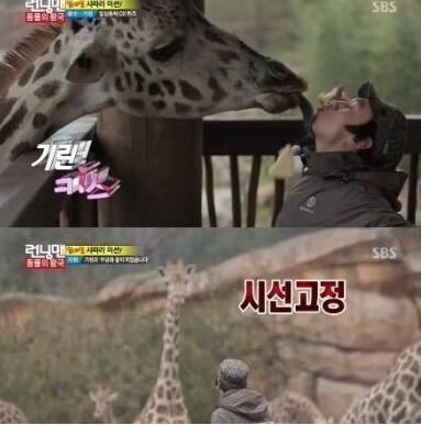 runningman李光洙為什么叫長頸鹿 李光洙長頸鹿來源