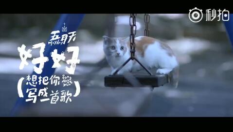 五月天《好好》MV林志玲徐若瑄特別出演 五月天好好歌詞