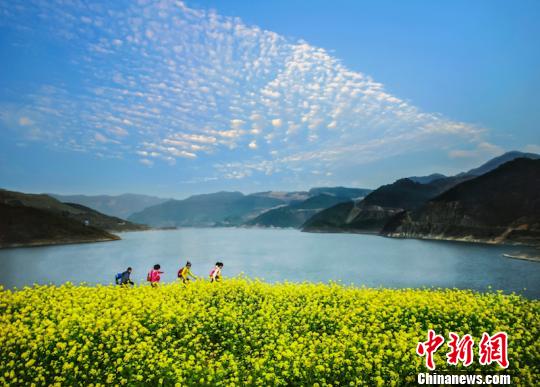 浙江丽水。　陈景甫 摄