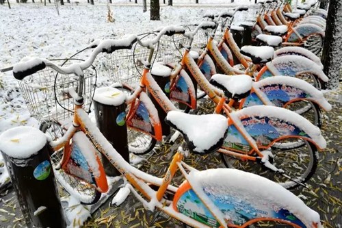 中新社发 森林 摄