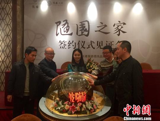 签约仪式现场。　王逸飞 摄