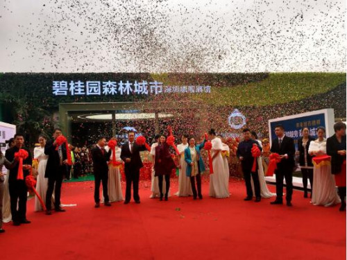 碧桂园森林城市深圳旗舰展馆剪彩仪式