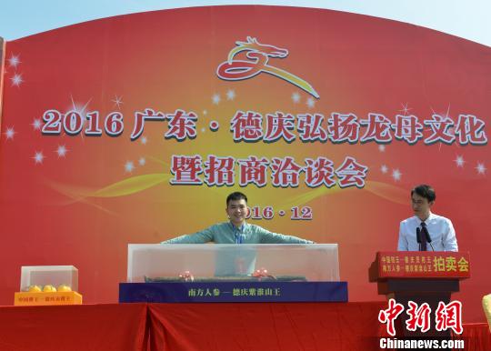 一根德庆紫淮山王拍出16.8万元的天价。　李均阳 摄