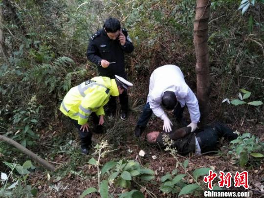車墜山崖司機生還