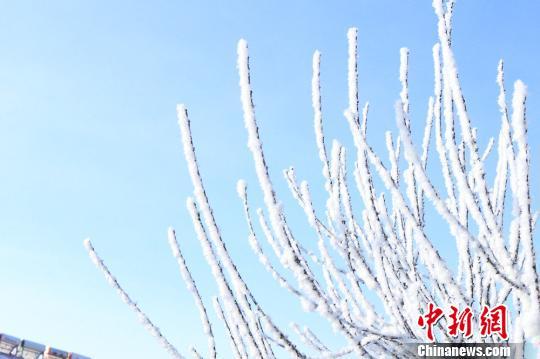 中蒙邊境團(tuán)場現(xiàn)今冬首場霧凇景觀宛如冰花世界（組圖）