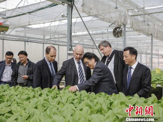 12月8日，以色列驻华大使马腾抵达位于福州埔垱福建省农业科学院海峡现代农业示范园内的中国-以色列示范农场，为新落成的“以色列中心”揭牌并参观。　林雄 摄