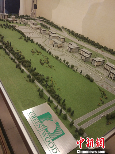 格林伍德国际贸易中心规划沙盘。中新网记者 李金磊 摄
