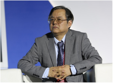 12月10日，国务院发展研究中心宏观经济研究部巡视员魏加宁在“三亚•财经国际论坛”上演讲。(主办方供图)