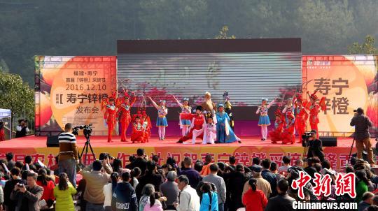 北路戏《小小传承人》 钟欣 摄