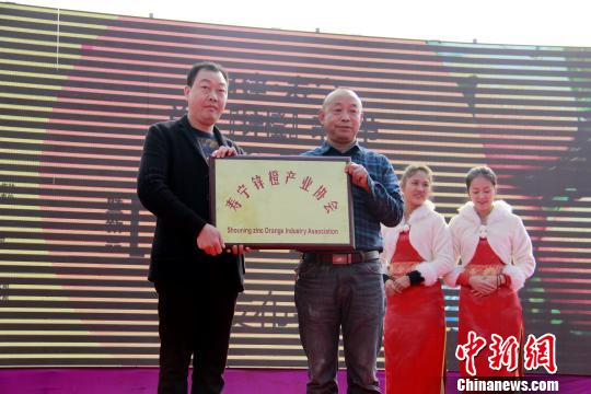 福建寿宁首届锌橙采摘节开幕现场。　钟欣 摄