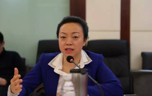 图为贸促会研究院国际贸易研究部主任赵萍。中新社记者 夏宾 摄