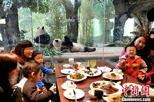 “与熊猫共餐”主题餐厅落户广州。中新社发 刘卫勇 摄