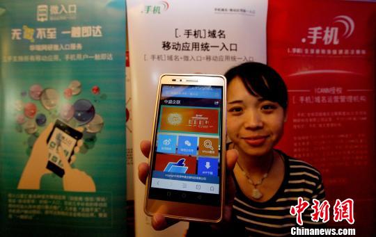 图为“。手机”域名用户页面展示。　张道正 摄