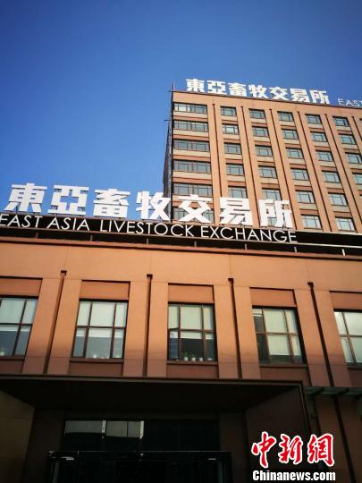 东亚畜牧交易所是中国在东亚合作领导人系列会议期间倡导的东亚合作项目，该项目落户于山东潍坊中国食品谷核心区。　沙见龙 摄