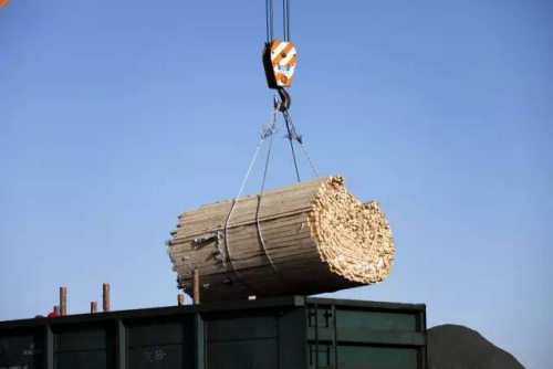 中新社发 唐豆子 摄